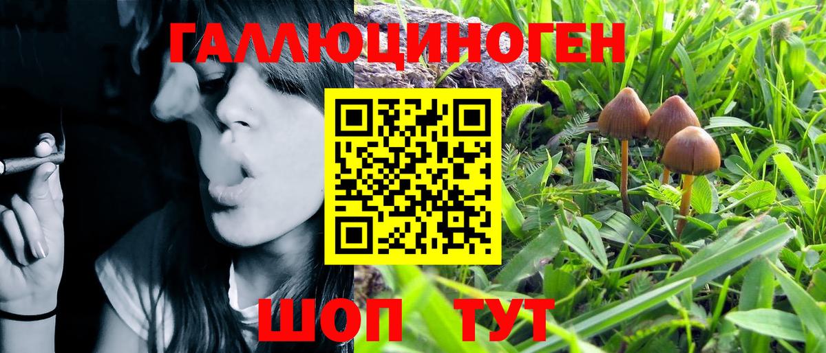 Кисловодск  Галлюциногенные грибы Psilocybine cubensis  купить наркоту  Вход с VPN 